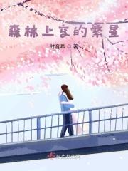 森林上空的星星 解读