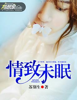 情致的意思是什么意思