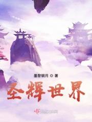 圣光光辉给什么装备