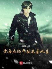 黄海龙将军简介