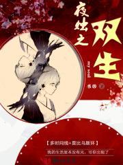 双生不夜