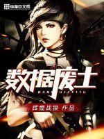 类似于数据废土的