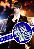 美女之总裁的贴身高手全集