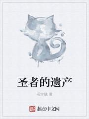 圣者遗留的记忆道具