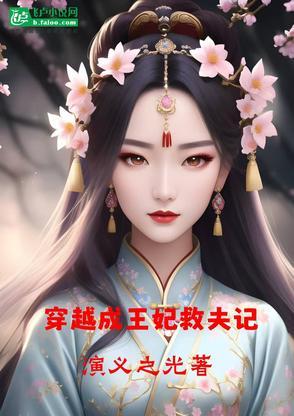 穿越成王妃救夫记的