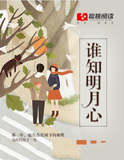 谁知明月照沟渠的上一句