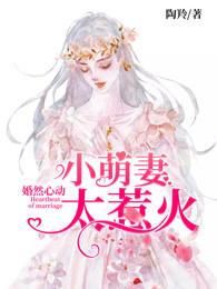婚然心动小萌妻太惹火司琴