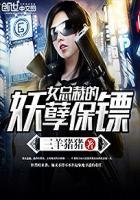 女总裁的妖孽保镖 叶枫风