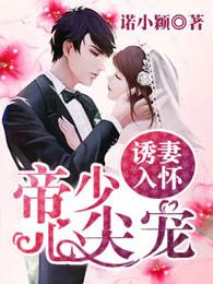 冷先生的甜婚指南完整版免费阅读二十集