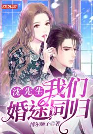 沈先生我们婚途同归讲什么