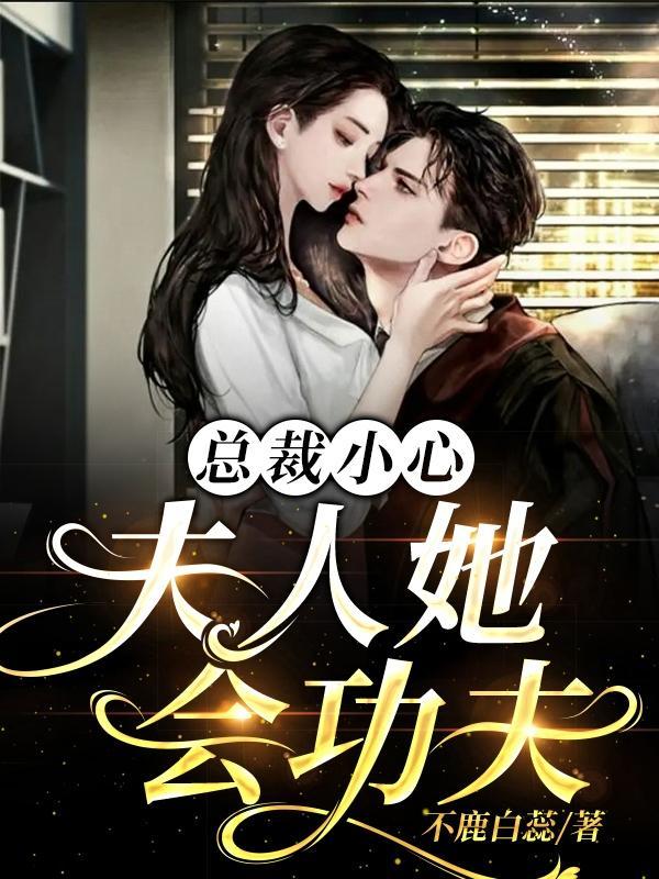 总裁小心!夫人她会功夫