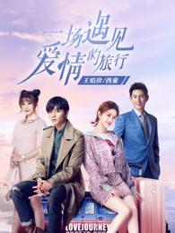 一场遇见爱情的旅行 一场遇见爱情的旅行